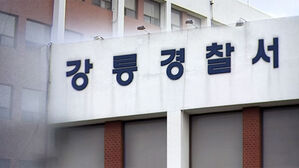 심야 강릉 도심서 난폭 운전한 10대 폭주족 9명 검거