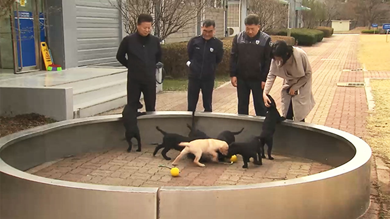 마약 탐지견