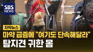 SBS NEWS 자막뉴스 마약 급증에 여기도 단속해달라 탐지견 귀한 몸