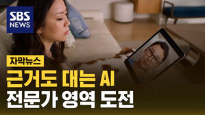 SBS NEWS 자막뉴스 근거도 대는 AI 전문가 영역 도전