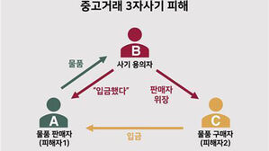기승부리는 '3자 사기'&hellip;택배&middot;안전결제 이용자 '쑥'