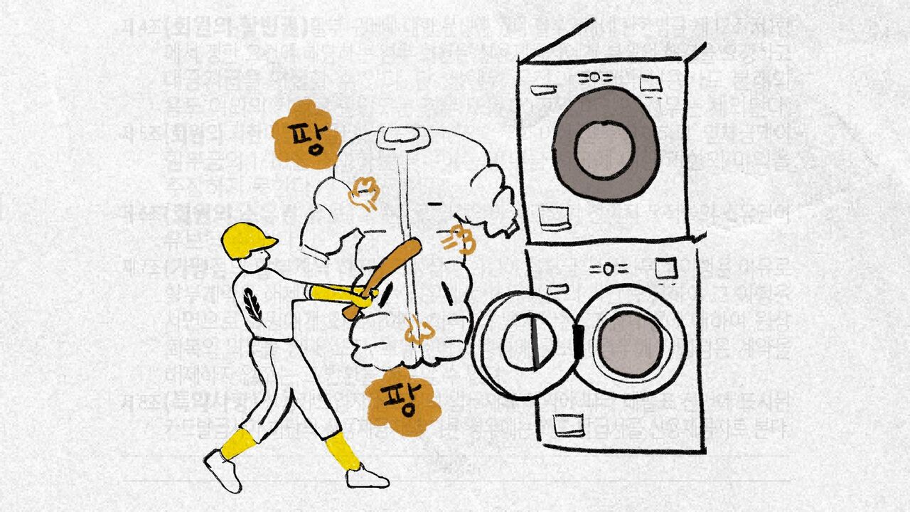 이보현 사까 마까