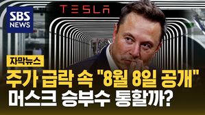 [자막뉴스] '주가 급락' 위기의 테슬라&hellip;"8월 8일 공개" 승부수 통할까?