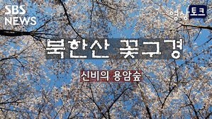 [영상토크] 북한산 꽃구경