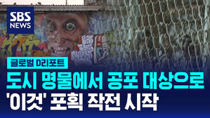 [글로벌D리포트] 도시 명물에서 공포의 대상으로&hellip;원숭이 포획작전 시작