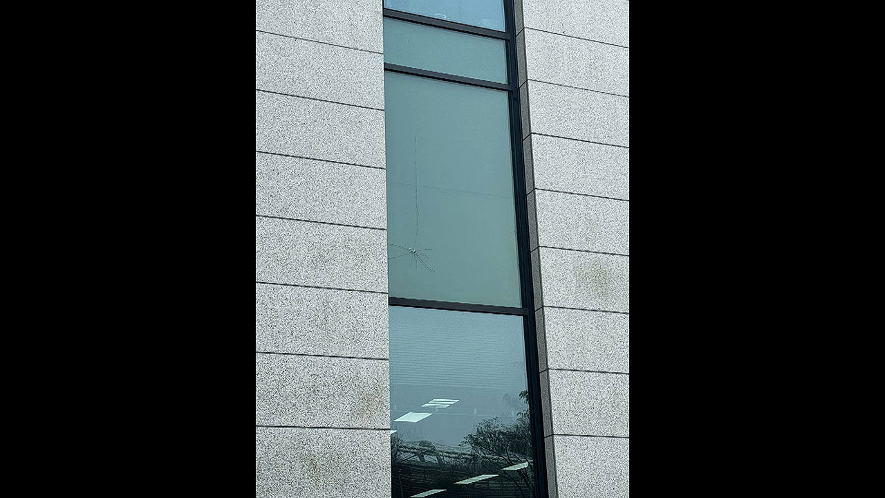 돌을 던져 금이 간 유리창