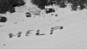 야자수 잎 모아 해변에 'HELP'&hellip;태평양 무인도 구사일생 스토리