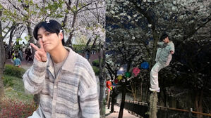 [SBS Star] Choi Sung-joon Faces Continued Criticism Despite Cherry Blossom Tree Climbing Apology
