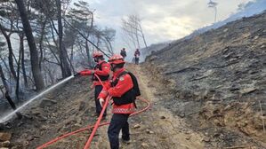 강원 홍천 내촌면 야산서 산불&hellip;1시간 30분 만에 진화