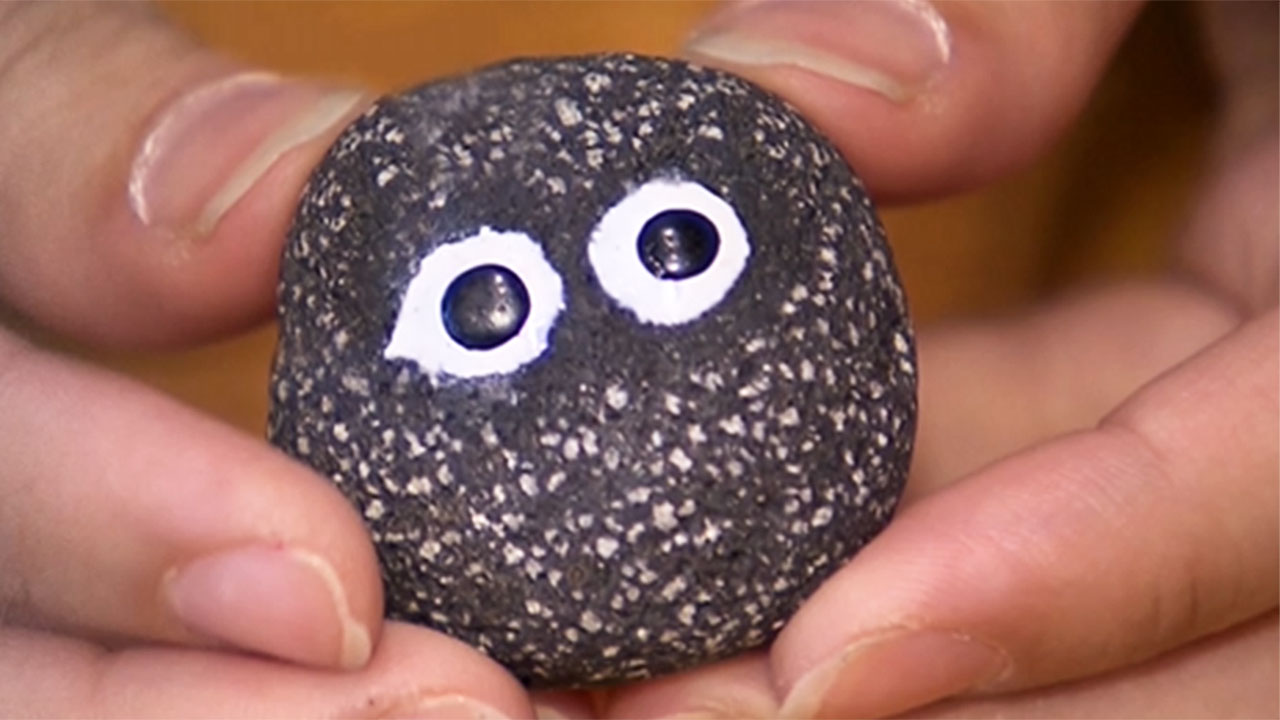 '돌 씻는 영상' 조회수 900만…