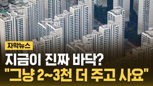 [자막뉴스] 지금이 진짜 바닥?&hellip;"그냥 2&sim;3천 더 주고 사요"
