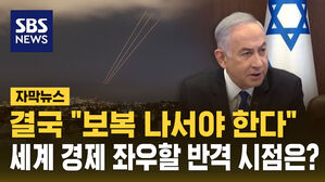 [자막뉴스] 결국 "보복 나설 것"…세계 경제 좌우할 반격 시점은?