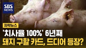 [자막뉴스] 날아간 돈만 3,000억&hellip;대한민국 돼지 전멸 막는다