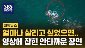 [자막뉴스] 얼마나 살리고 싶었으면&hellip;영상에 잡힌 안타까운 장면