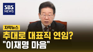 [자막뉴스] "3D, 하고 싶지 않다" 했지만&hellip;"이재명 마음"