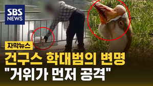 [자막뉴스] 검거된 건구스 학대범의 변명&hellip;"거위가 선제 공격"