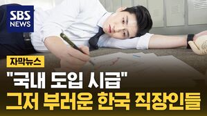 [자막뉴스] "국내 도입 시급"&hellip;그저 부러운 한국 직장인들