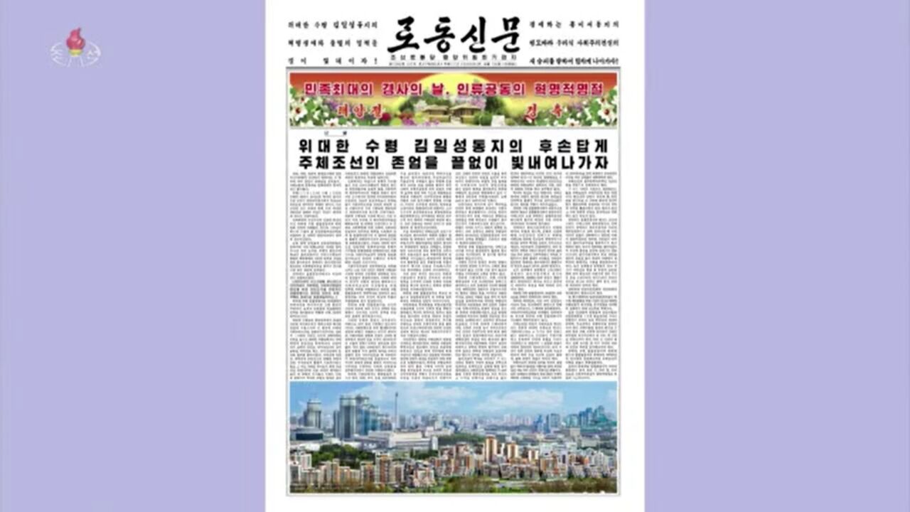 안정식 N코리아 정식