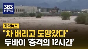 [자막뉴스] "차 버리고 도망갔다"&hellip;두바이 '충격의 12시간'