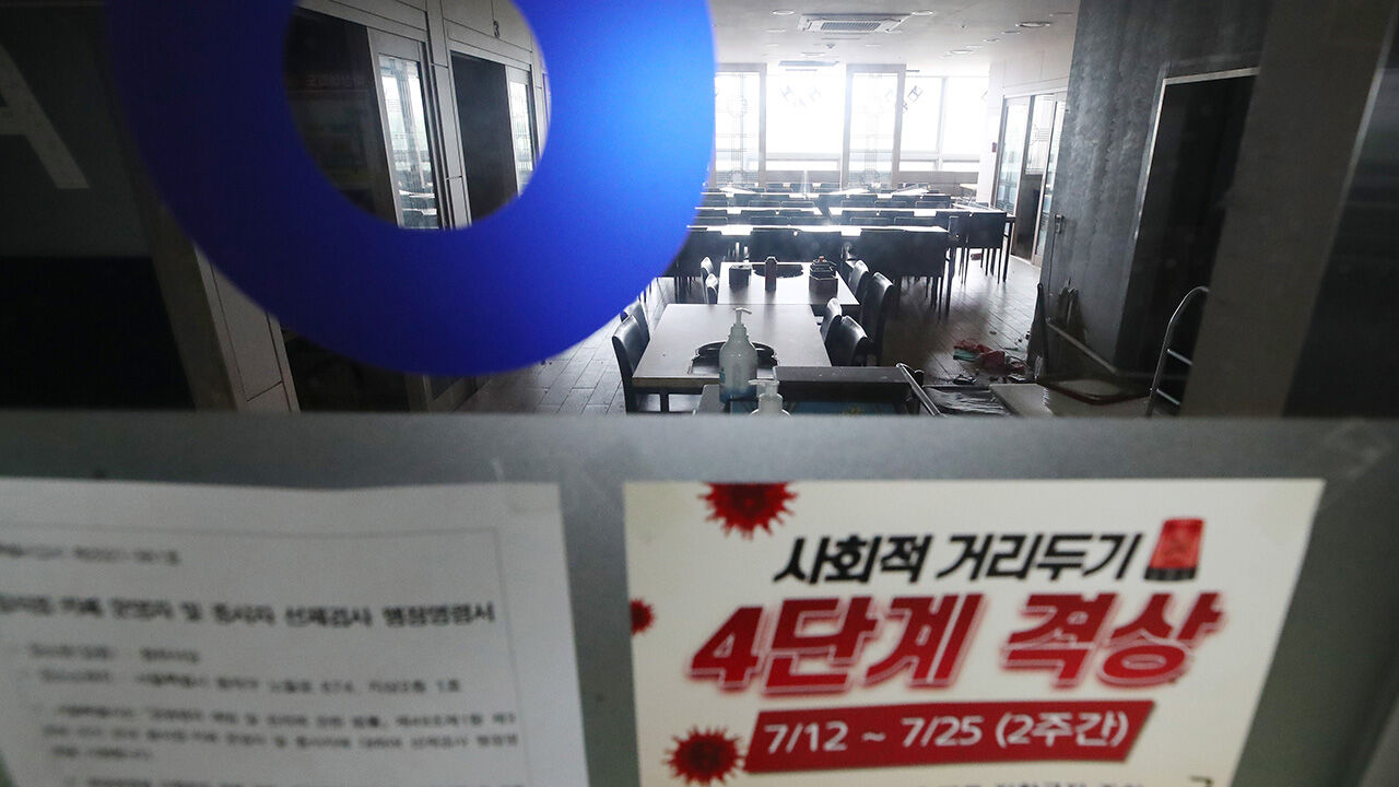 심영구 뉴스스프링