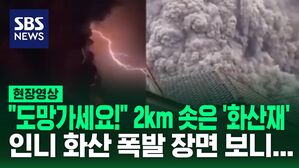 [영상] "빨리 도망가세요!" 번쩍 하더니 '번개'가 계속, 2km 치솟은 '화산재 구름'&hellip; 화산 폭발 당시 긴박했던 순간