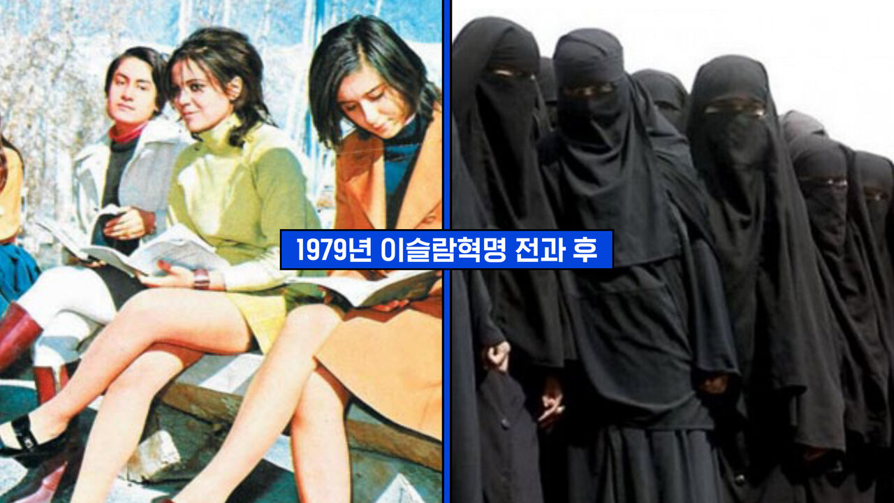 스프 교양이CG