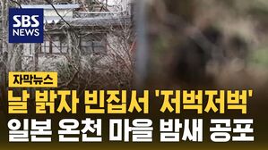 [자막뉴스] 날 밝자 빈집서 '저벅저벅'&hellip;일본 온천 마을 밤새 공포