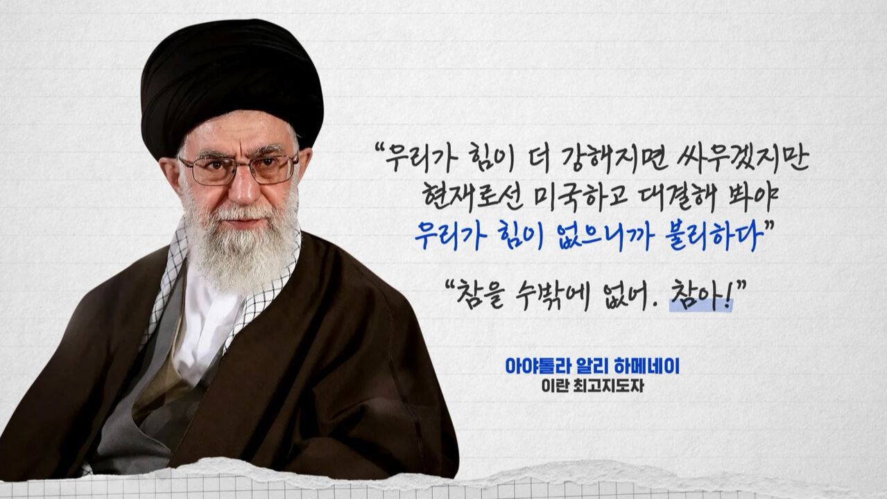 성일광 교양이를 부탁해