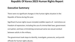 미국 인권 보고서, 한국 언론 자유 &middot; 대북전단금지법 언급