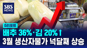 [D리포트] 배추 36%&middot;김 20%↑&hellip;3월 생산자물가 넉달째 상승