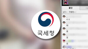 국세청, '회삿돈 유용&middot;탈세' 인터넷 운영자 세무조사
