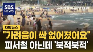 [자막뉴스] "소변은 한 번만&hellip;눈도 번쩍" 해운대로 몰려든 사람들