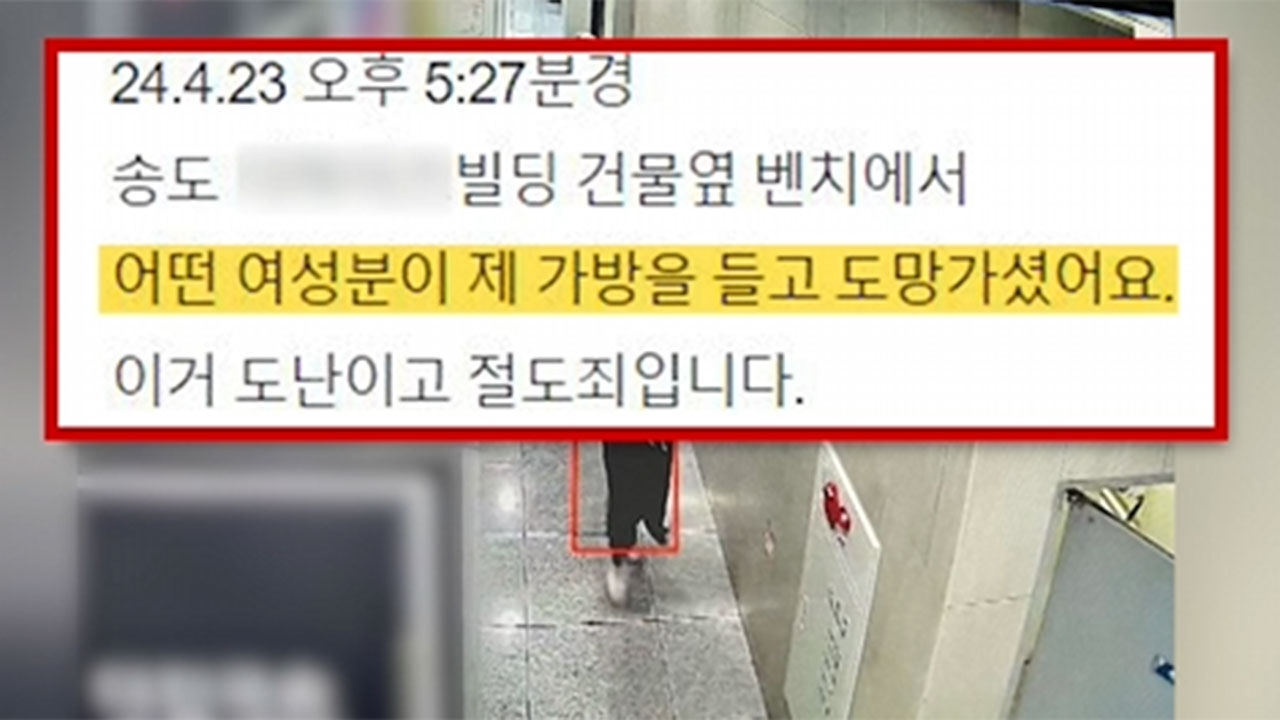 주인 코앞에서 명품 가방 들고 튄 여성