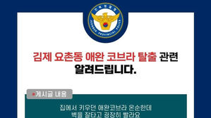 김제서 '애완용 코브라 탈출' 소문 확산&hellip;경찰 "관련 신고 없어"