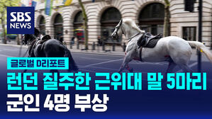 [글로벌D리포트] 영국 근위대 말 5마리 런던 도심 질주&hellip;4명 부상