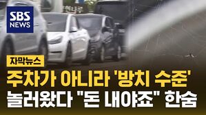 [자막뉴스] 주차가 아니라 '방치 수준'&hellip;놀러 왔다 "돈 내야죠" 한숨