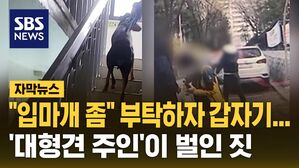 [자막뉴스] 대형견 입마개