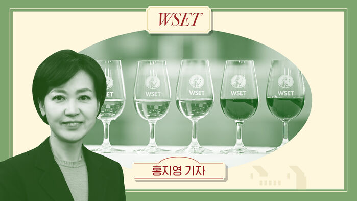홍지영 와인의슾