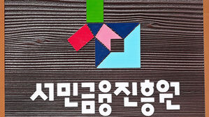 유영하 "포털서 '서민금융지원' 검색하면 미등록 대부업체 불법광고"