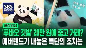 [영상] 무료로 나눠줬던 '푸바오 응원 깃발' 20만 원에 중고 거래? 에버랜드 측, 특단의 조치&hellip;중국 생활하는 푸바오 모습 본 강바오 "사육사가 노력 많이 해, 고맙다"
