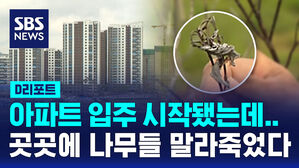 [D리포트] 에코델타시티 곳곳서 '말라죽은 나무들'&hellip;"토양 상태 불량"