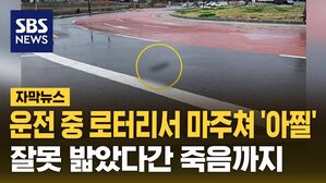 [자막뉴스] 판스프링