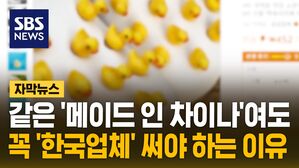 [자막뉴스] 발암물질 범벅