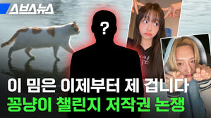 스브스뉴스 이 밈은 이제부터 제 겁니다 꽁냥이 챌린지 저작권 논쟁