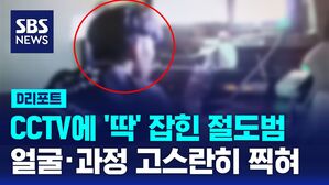 절도