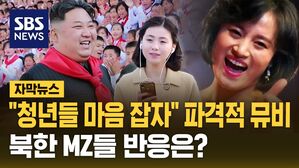 [자막뉴스] 북한 뮤비