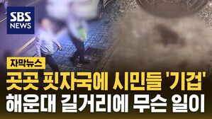 [자막뉴스] 해운대 패싸움