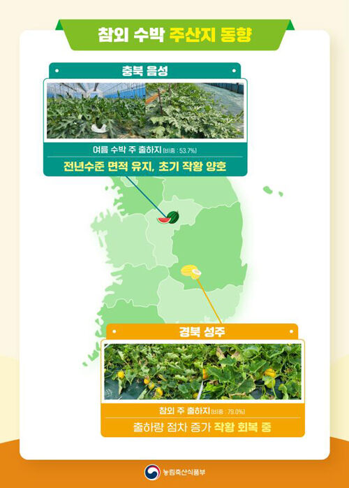 참외·수박 주산지 동향 (사진=농림축산식품부 제공, 연합뉴스)