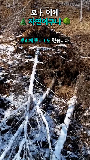 오ㅏ 이게 자연이구나