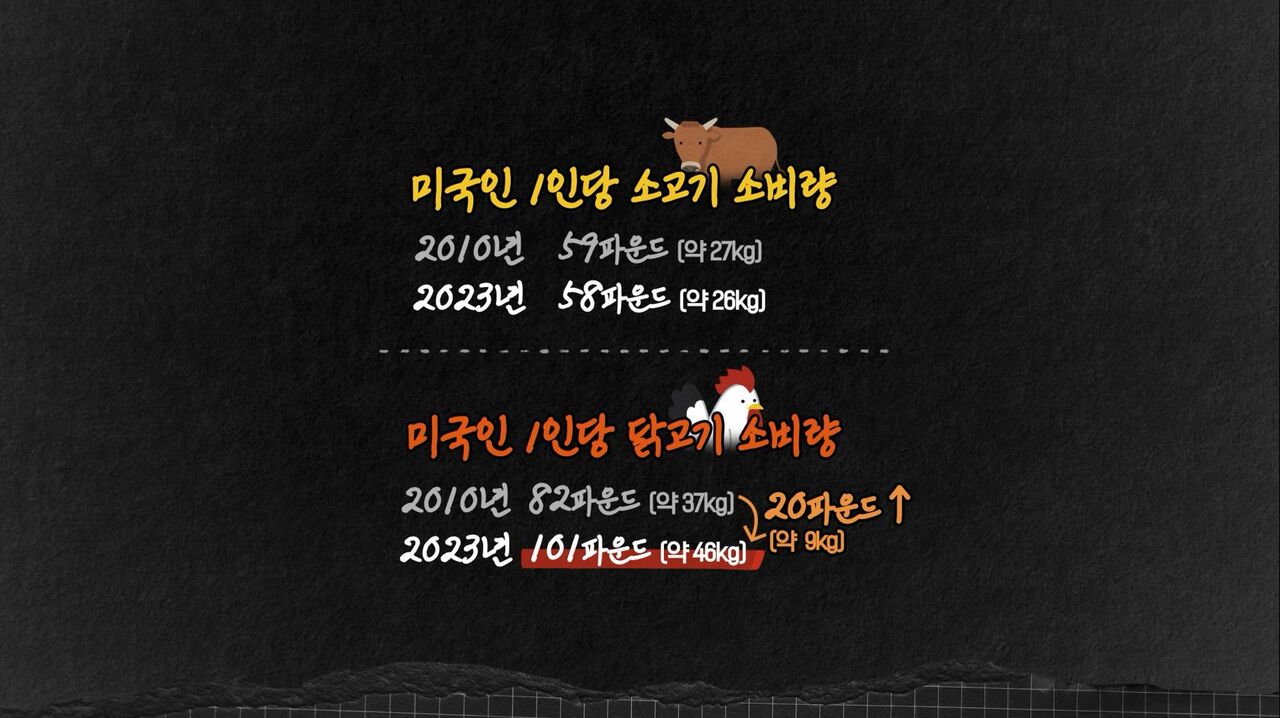 김한송 교양이를 부탁해